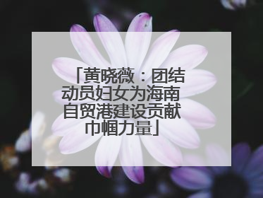 黄晓薇：团结动员妇女为海南自贸港建设贡献巾帼力量