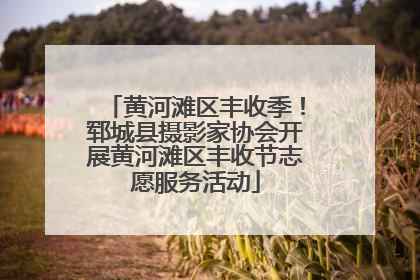 黄河滩区丰收季！郓城县摄影家协会开展黄河滩区丰收节志愿服务活动