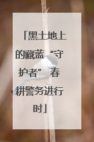 黑土地上的藏蓝“守护者” 春耕警务进行时