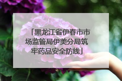 黑龙江省伊春市市场监管局伊美分局筑牢药品安全防线