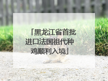 黑龙江省首批进口法国祖代种鸡顺利入境