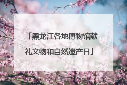 黑龙江各地博物馆献礼文物和自然遗产日