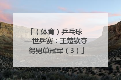 （体育）乒乓球——世乒赛：王楚钦夺得男单冠军（3）