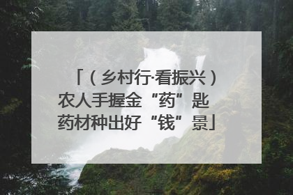 （乡村行·看振兴）农人手握金“药”匙 药材种出好“钱”景