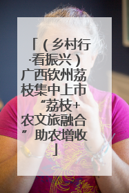 （乡村行·看振兴）广西钦州荔枝集中上市 “荔枝+农文旅融合”助农增收