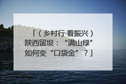 （乡村行·看振兴）陕西留坝：“满山绿”如何变“口袋金”？