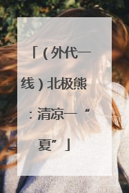 （外代一线）北极熊：清凉一“夏”