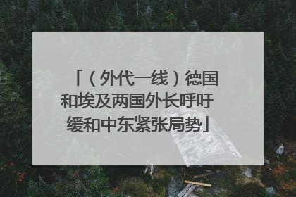 （外代一线）德国和埃及两国外长呼吁缓和中东紧张局势