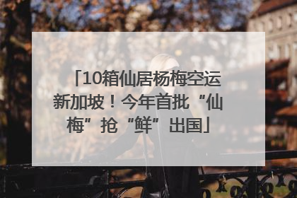 10箱仙居杨梅空运新加坡！今年首批“仙梅”抢“鲜”出国