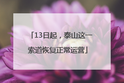 13日起，泰山这一索道恢复正常运营