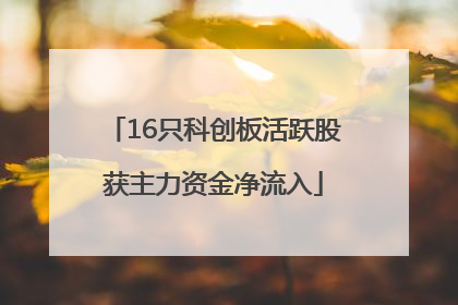 16只科创板活跃股获主力资金净流入