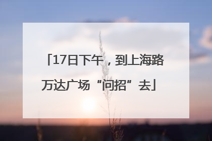 17日下午，到上海路万达广场“问招”去
