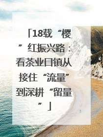 18载“樱”红振兴路：看茶业口镇从接住“流量”到深耕“留量”