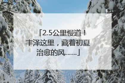 2.5公里慢道！丰泽这里，藏着初夏治愈的风……