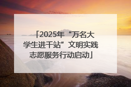 2025年“万名大学生进千站”文明实践志愿服务行动启动