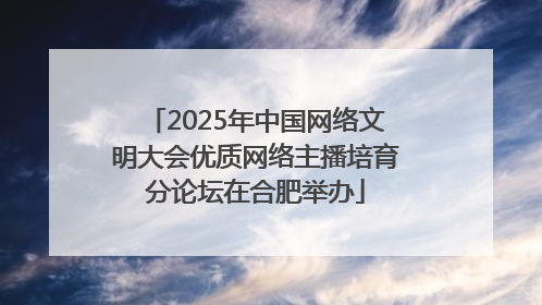 2025年中国网络文明大会优质网络主播培育分论坛在合肥举办