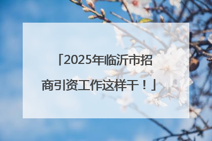 2025年临沂市招商引资工作这样干！