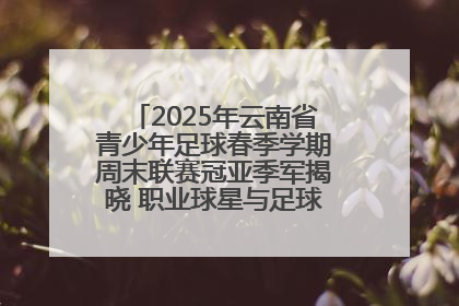 2025年云南省青少年足球春季学期周末联赛冠亚季军揭晓 职业球星与足球小将共享荣耀时刻