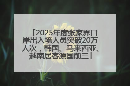2025年度张家界口岸出入境人员突破20万人次，韩国、马来西亚、越南居客源国前三