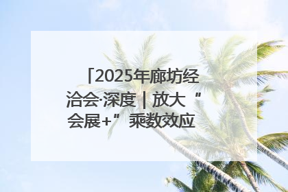 2025年廊坊经洽会·深度｜放大“会展+”乘数效应 打造消费新场景