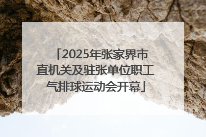 2025年张家界市直机关及驻张单位职工气排球运动会开幕