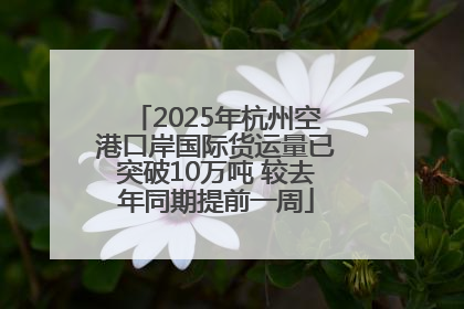 2025年杭州空港口岸国际货运量已突破10万吨 较去年同期提前一周