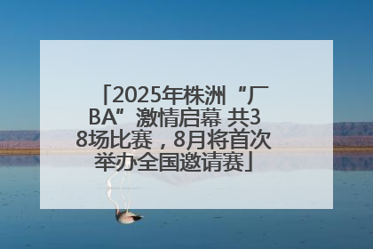 2025年株洲“厂BA”激情启幕 共38场比赛，8月将首次举办全国邀请赛