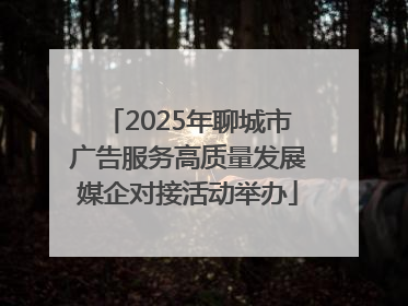 2025年聊城市广告服务高质量发展媒企对接活动举办