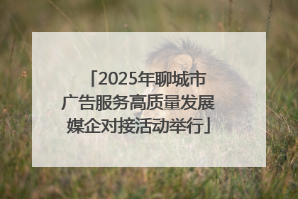 2025年聊城市广告服务高质量发展媒企对接活动举行