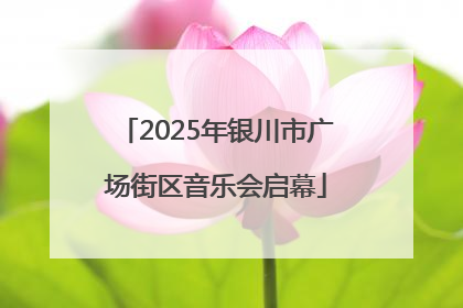 2025年银川市广场街区音乐会启幕