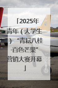 2025年青年（大学生）“青耘八桂·百色芒果”营销大赛开幕