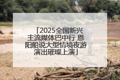 2025全国新兴主流媒体巴中行 恩阳船说大型情境夜游演出璀璨上演