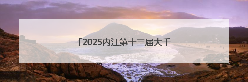 2025内江第十三届大千龙舟经贸文化博览会开幕