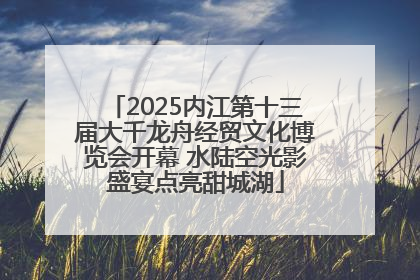 2025内江第十三届大千龙舟经贸文化博览会开幕 水陆空光影盛宴点亮甜城湖