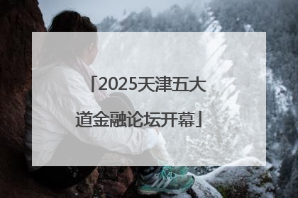 2025天津五大道金融论坛开幕