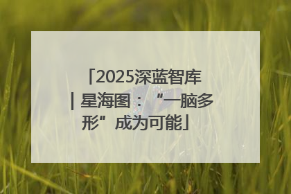 2025深蓝智库｜星海图：“一脑多形”成为可能