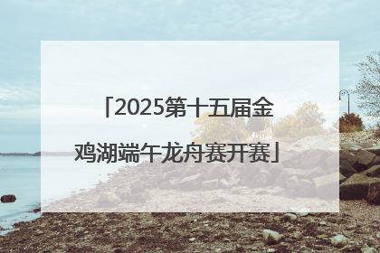 2025第十五届金鸡湖端午龙舟赛开赛