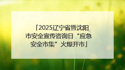 2025辽宁省暨沈阳市安全宣传咨询日“应急安全市集”火爆开市