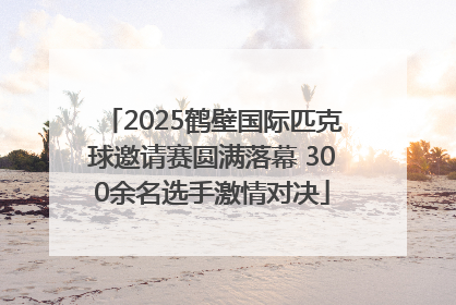 2025鹤壁国际匹克球邀请赛圆满落幕 300余名选手激情对决