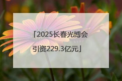 2025长春光博会引资229.3亿元
