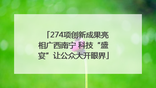 274项创新成果亮相广西南宁 科技“盛宴”让公众大开眼界