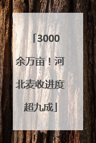3000余万亩！河北麦收进度超九成