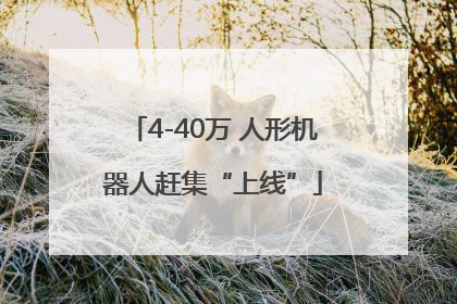 4-40万 人形机器人赶集“上线”