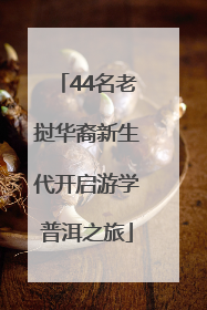 44名老挝华裔新生代开启游学普洱之旅