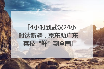 4小时到武汉24小时达新疆，京东助广东荔枝“鲜”到全国