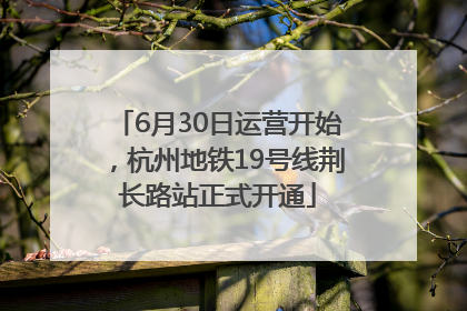 6月30日运营开始，杭州地铁19号线荆长路站正式开通