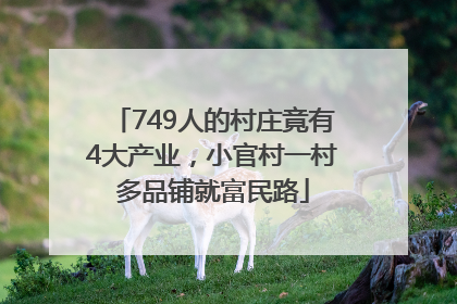 749人的村庄竟有4大产业，小官村一村多品铺就富民路