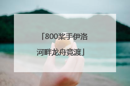 800桨手伊洛河畔龙舟竞渡