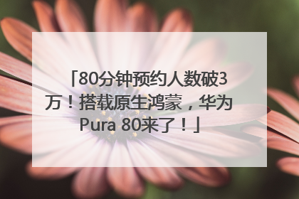 80分钟预约人数破3万！搭载原生鸿蒙，华为Pura 80来了！