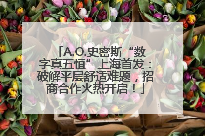 A.O.史密斯“数字真五恒”上海首发：破解平层舒适难题，招商合作火热开启！